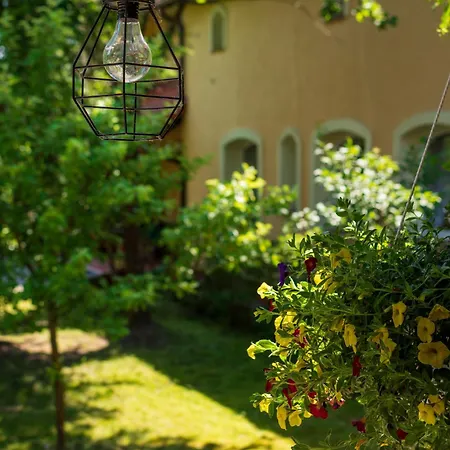 Siedlisko Kromienice 住宿加早餐酒店 Krzywe (Mragowo)