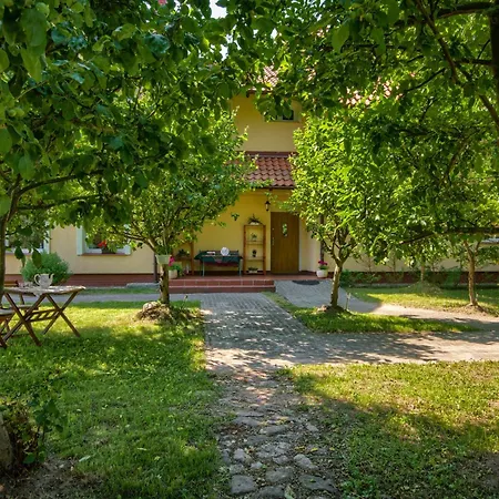 Siedlisko Kromienice Krzywe (Mragowo)